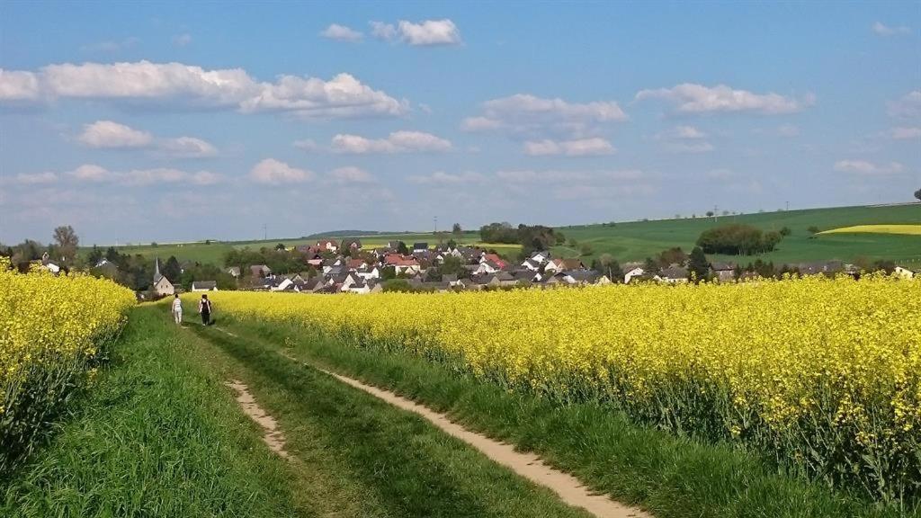Ferienwohnung Maifeld Виршем Экстерьер фото
